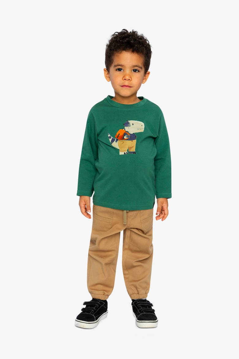 Organic Cotton Dino Appliqué Crew Neck Long Sleeve T-Shirt, Alternate, color, Green