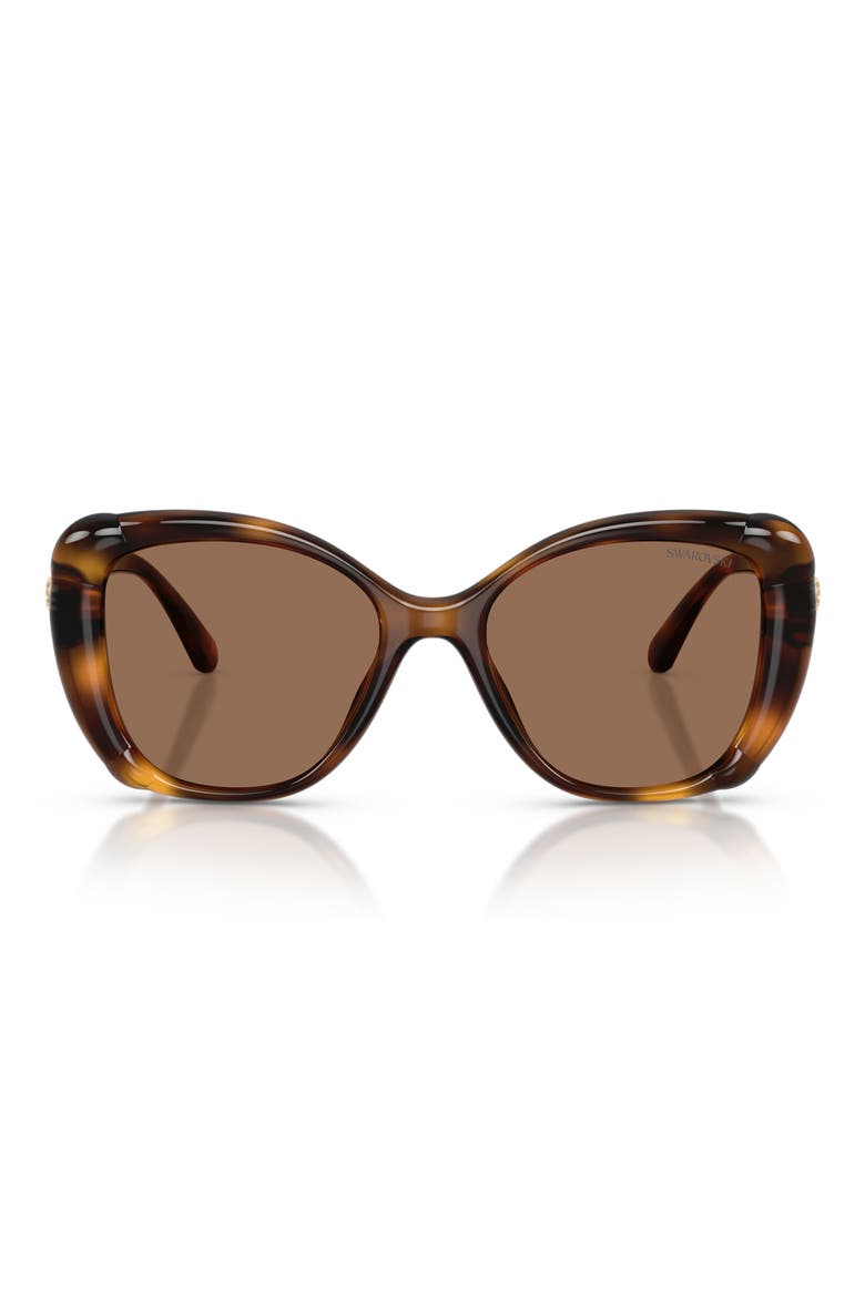 53mm Butterfly Sunglasses, Main, color, HAVANA / DARK BROWN