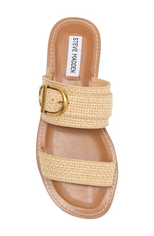 Steve Madden Sivan Slide Sandal