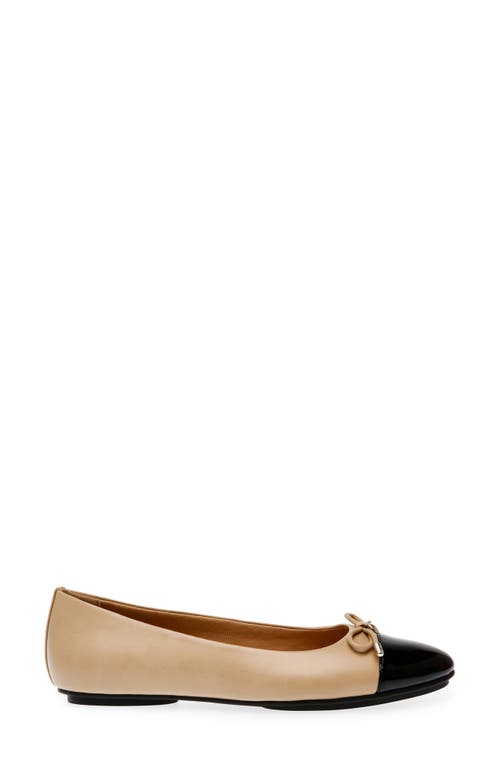 Anne Klein Luci Cap Toe Ballet Flat In Multi