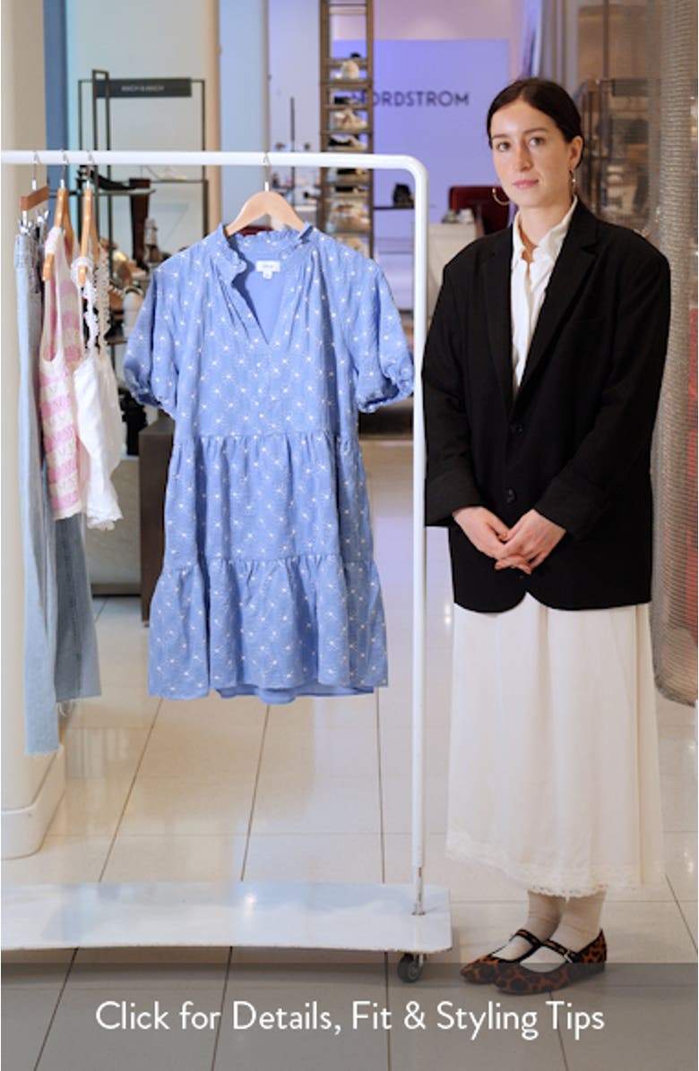 Embroidered Puff Sleeve Tiered Babydoll Dress, sales video thumbnail