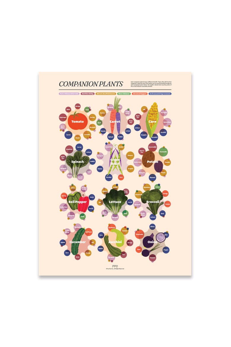 Companion Plants Giclée Print, Main, color, Multi