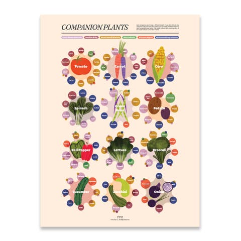 Companion Plants Giclée Print