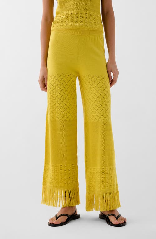 Scalpers Pointelle Knit Pant In Yellow