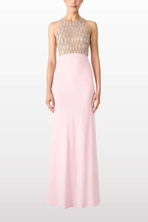 Jenny Packham Dewdrop Crystal-bodice Gown In Pink