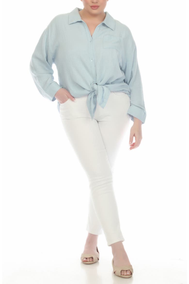 Gauze Button-Up Shirt, Alternate, color, BLUE