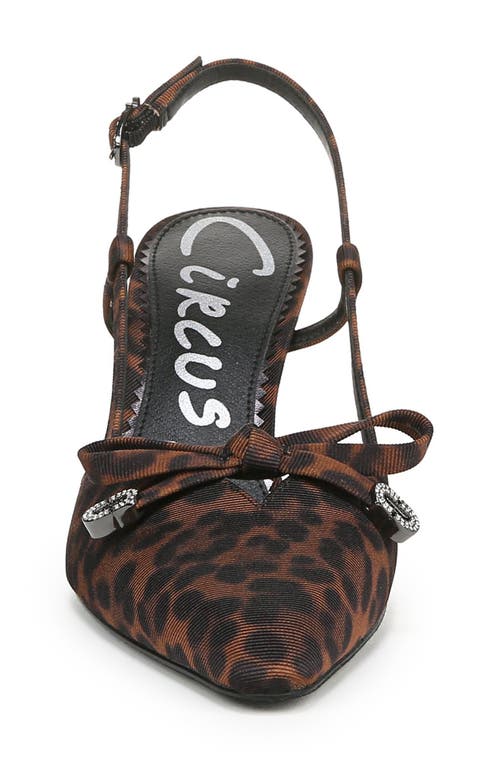 Circus Ny By Sam Edelman Monica Pointed Toe Slingback Pump In Black Natural Multi