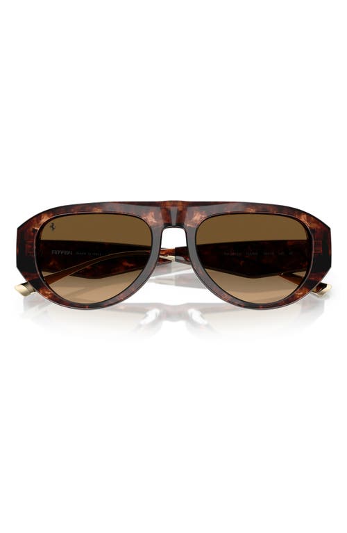 Scuderia Ferrari 55mm Pilot Sunglasses In Brown