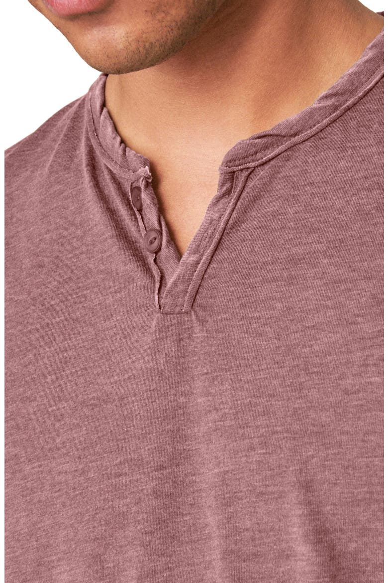 Venice Button Neck Cotton Blend T-Shirt, Alternate, color, PORT ROYALE