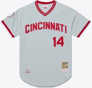 Mitchell & Ness Men's Mitchell & Ness Pete Rose Gray Cincinnati Reds 1976 Authentic Jersey