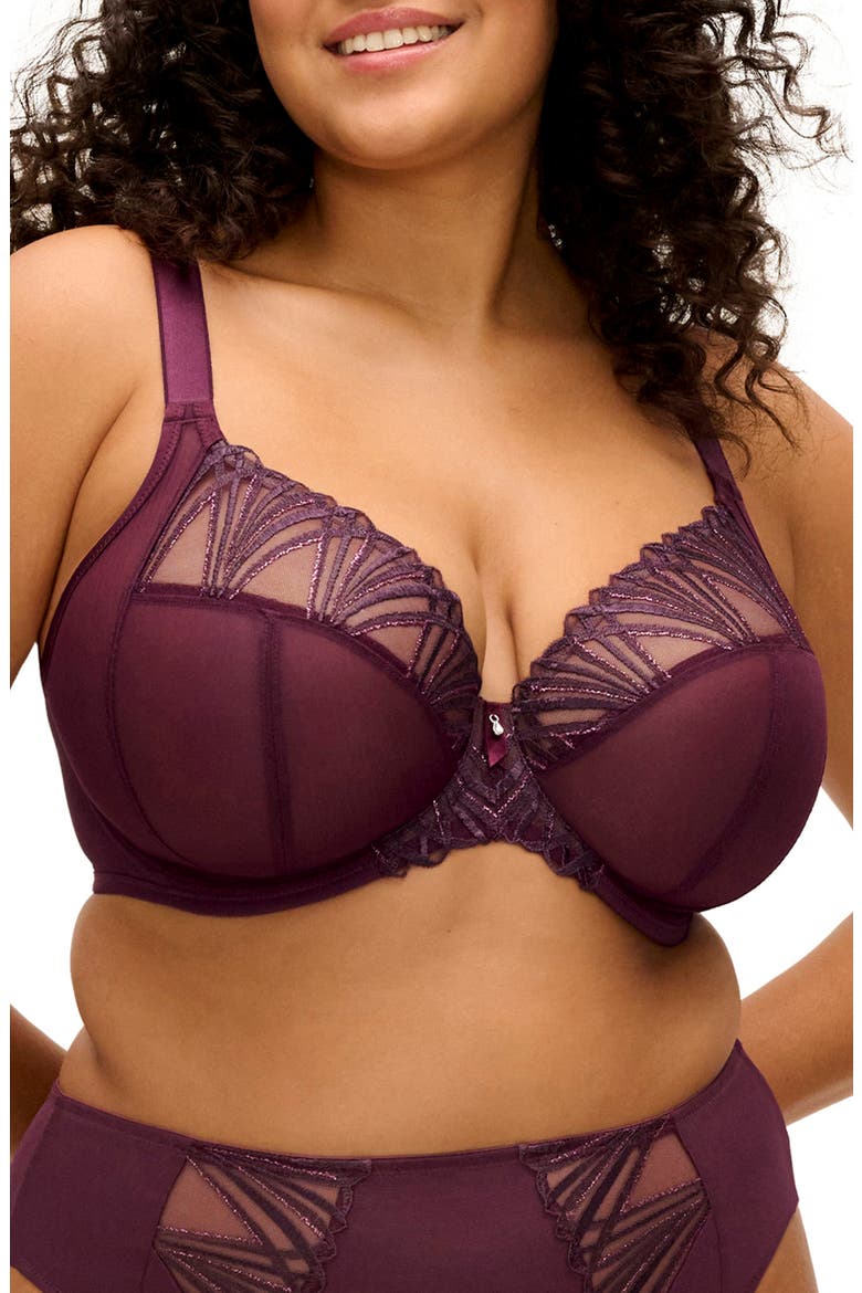 Reja Underwire Plunge Bra video