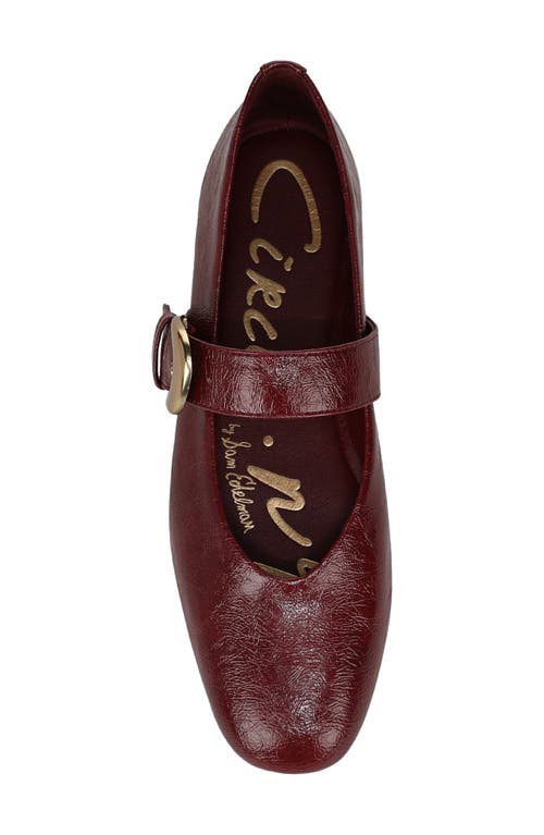 Circus Ny By Sam Edelman Bella Mary Jane Flat In Burgundy