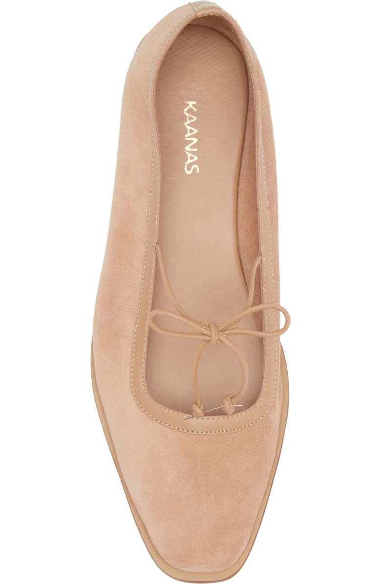 Kaanas Ballet Flat, Alternate, color,
