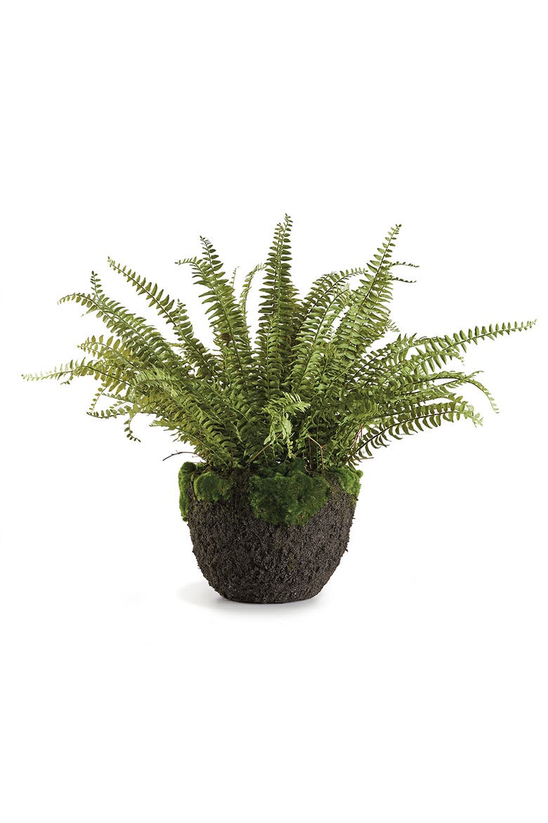 Grand Boston Fern Drop-In 30", Main, color, Green
