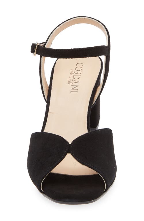 Cordani Ingrims Ankle Strap Sandal In Black