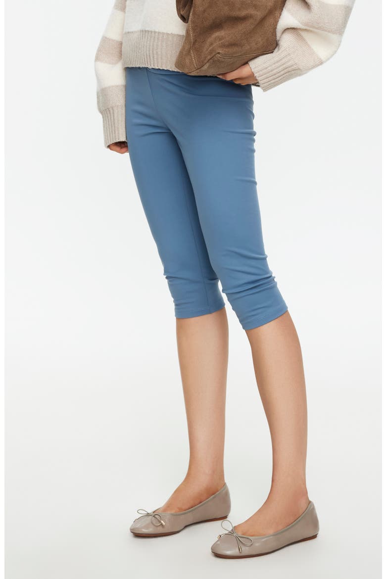 Capo Capri Pants, Alternate, color, SLATE