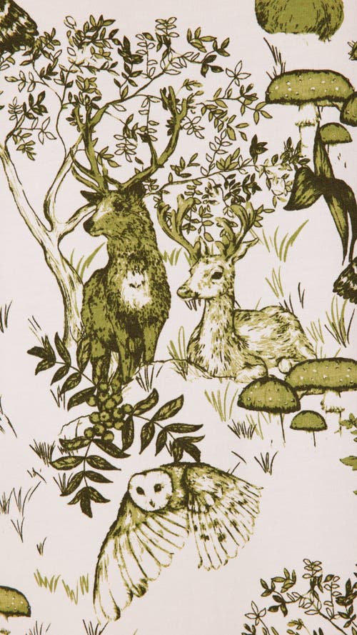 The Cat's Pajamas Pima Knit Short Sleeved Sleep Shirt Conversational In Green