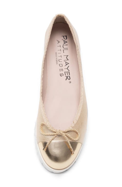 Paul Mayer Bravo Lug Sole Ballet