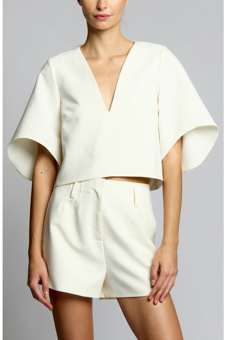 Amalfi Deep V Blouse, Alternate, color, Ivory