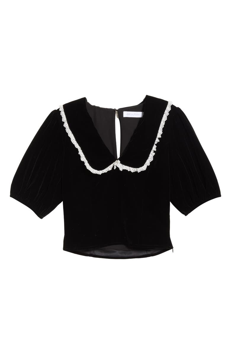 All in Favor Velvet Embroidered Peter Pan Collar Crop Top, Main, color, Black
