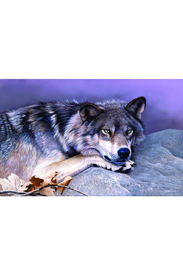 Time Out 1000 piece Jigsaw Puzzle for Adults, Alternate, color, Multicolor