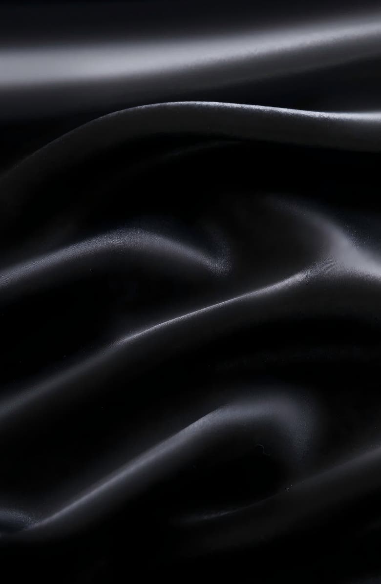 SILKSILKY Set of 2Pcs-22Momme Mulberry Silk Hidden Zipper Pillowcase, Alternate, color, 