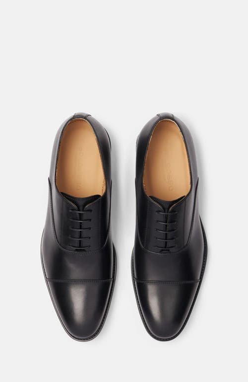 Scarosso Cesare Oxfords