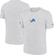 Nike Men's Nike Ash Detroit Lions Sideline Velocity Performance T-Shirt