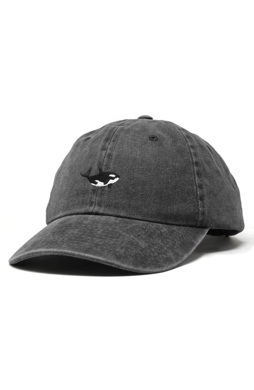 Dalix Killer Whale Embroidered Dad Hat In Washed Black