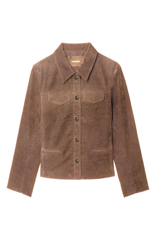 Zadig & Voltaire Liam Corduroy Jacket In Brown