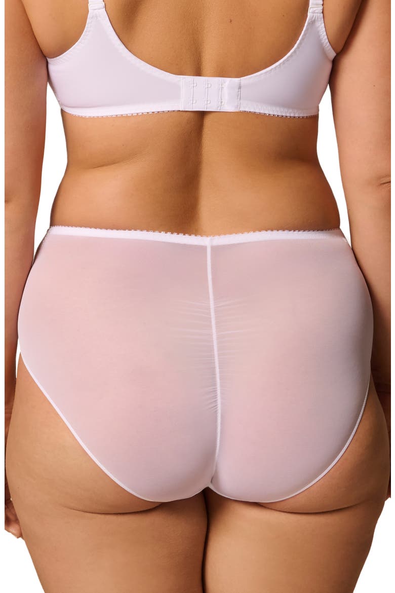 Intrigue Floral Embroidered Briefs, Alternate, color, WHITE