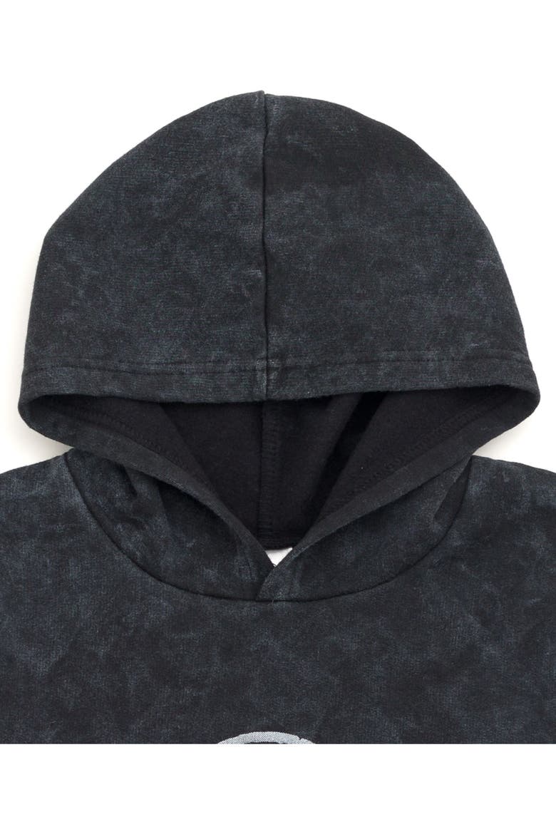 Jurassic Park Fleece Hoodie, Alternate, color, Mineral Wash Grey