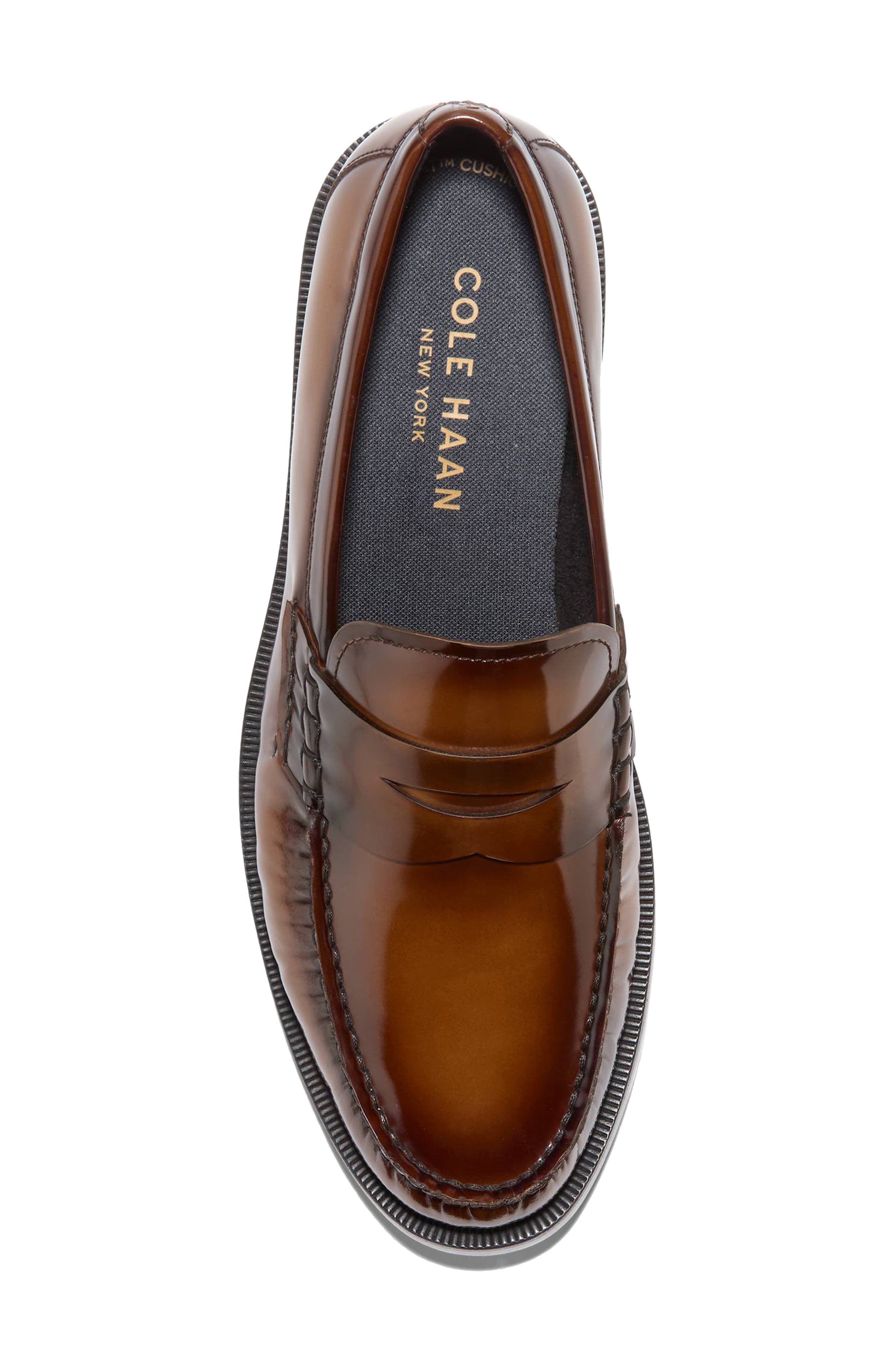 Pinch Prep Flexcraft Penny Loafer, Alternate, color, DARK CHOCOLATE BOX BRUSH OFF