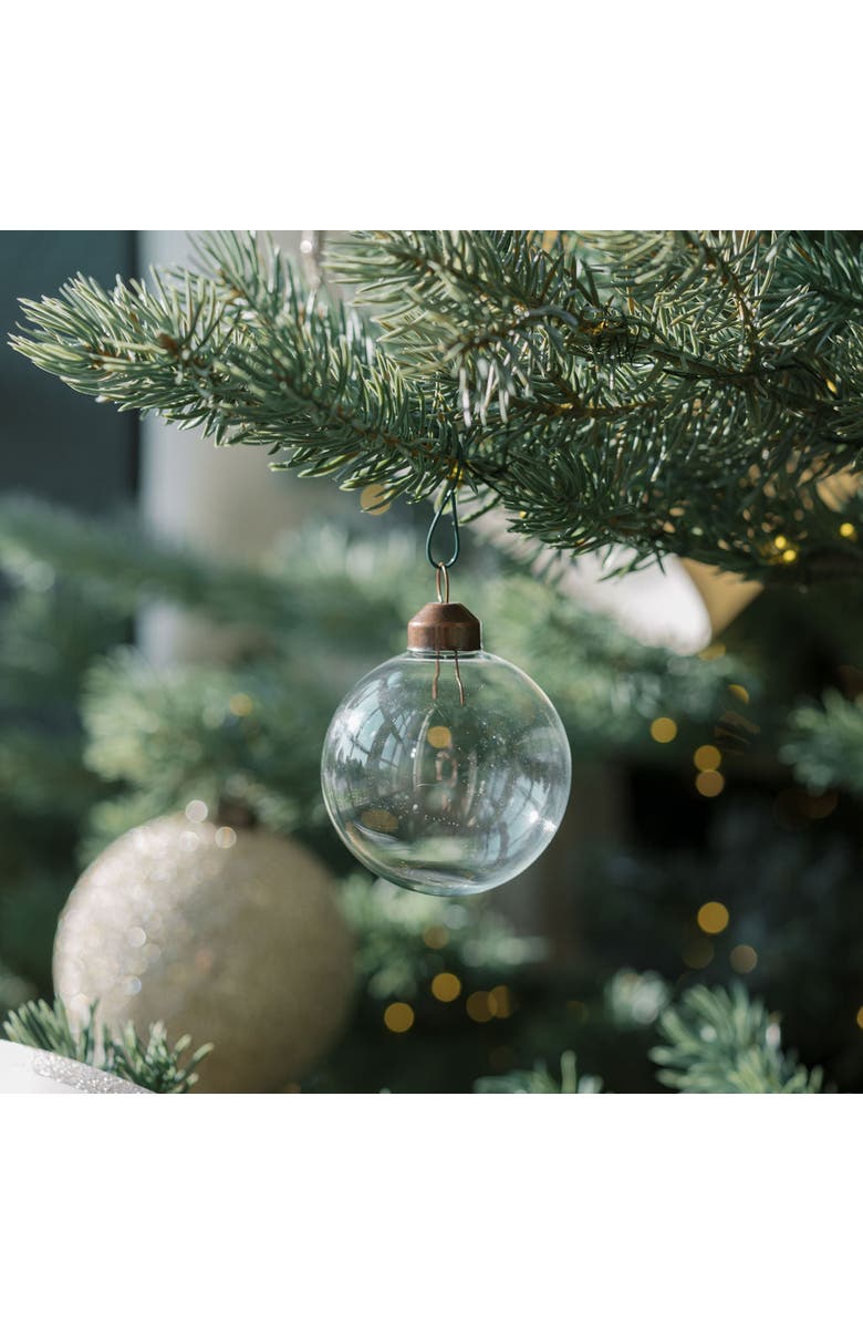 CG Hunter 2.25" Clear Glass Ornament, Alternate, color, Clear