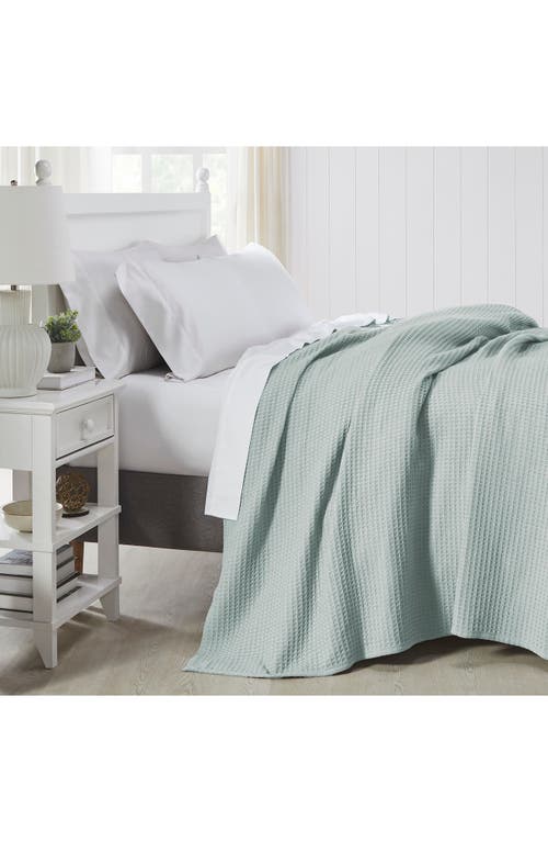 Modern Threads Cotton Waffle Blanket In Pale Blue