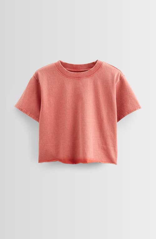 Treasure & Bond Kids' Crop Cotton T-shirt In Coral Faded