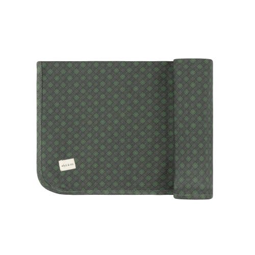 Ely's & Co. Velour Plaid Bear Collection In Green
