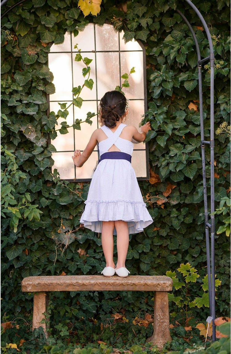 Hope & Henry Girls' Organic Cross Back Party Dress, Kids, Alternate, color, Classic Blue Gingham