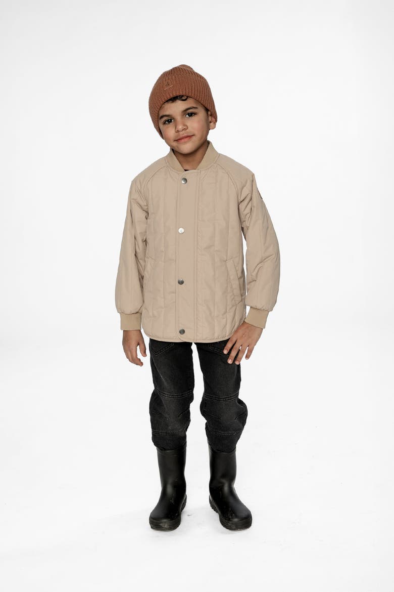 Quilted Raglan Sleeve Zip Pocket Jacket, Alternate, color, Beige