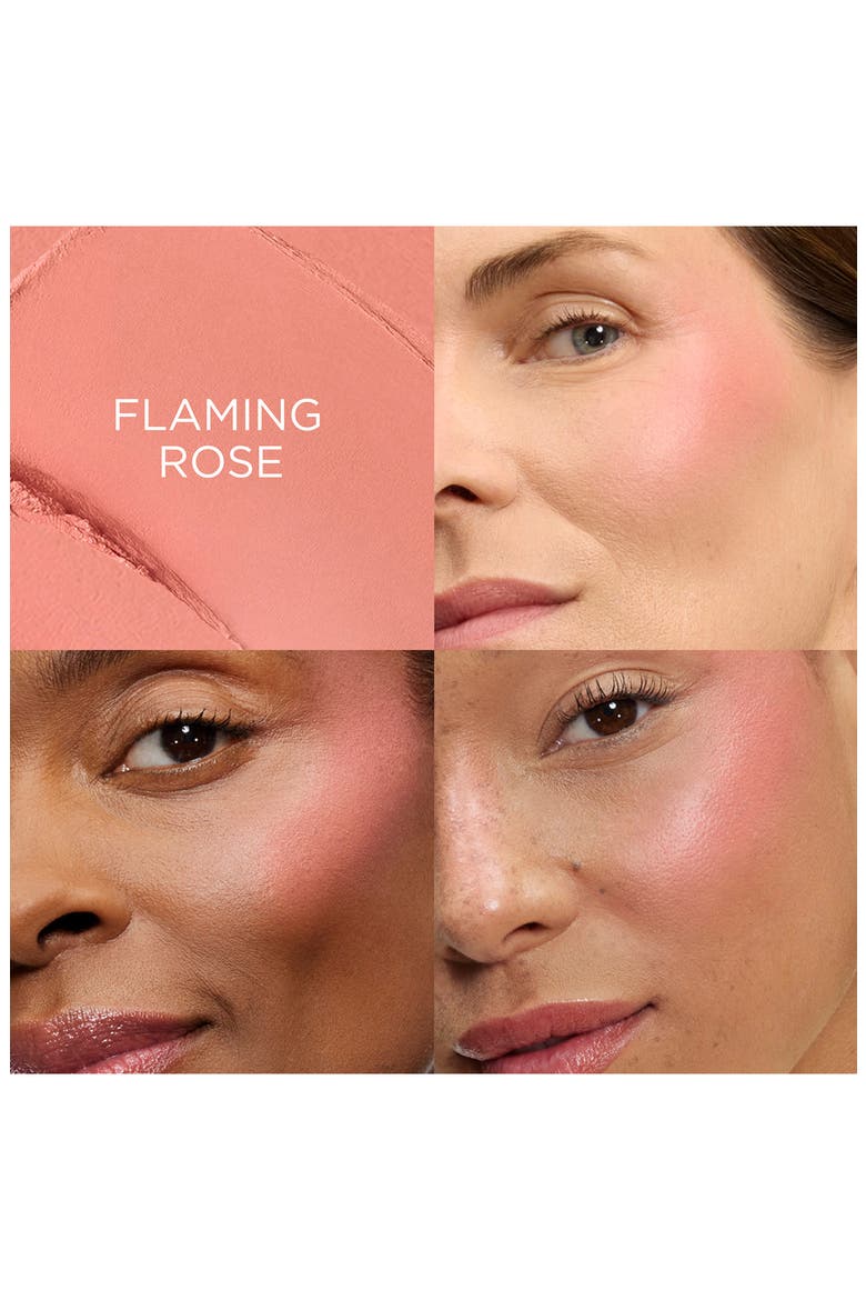 Teint Idole Ultra Stick Blush, Alternate, color, ROSE