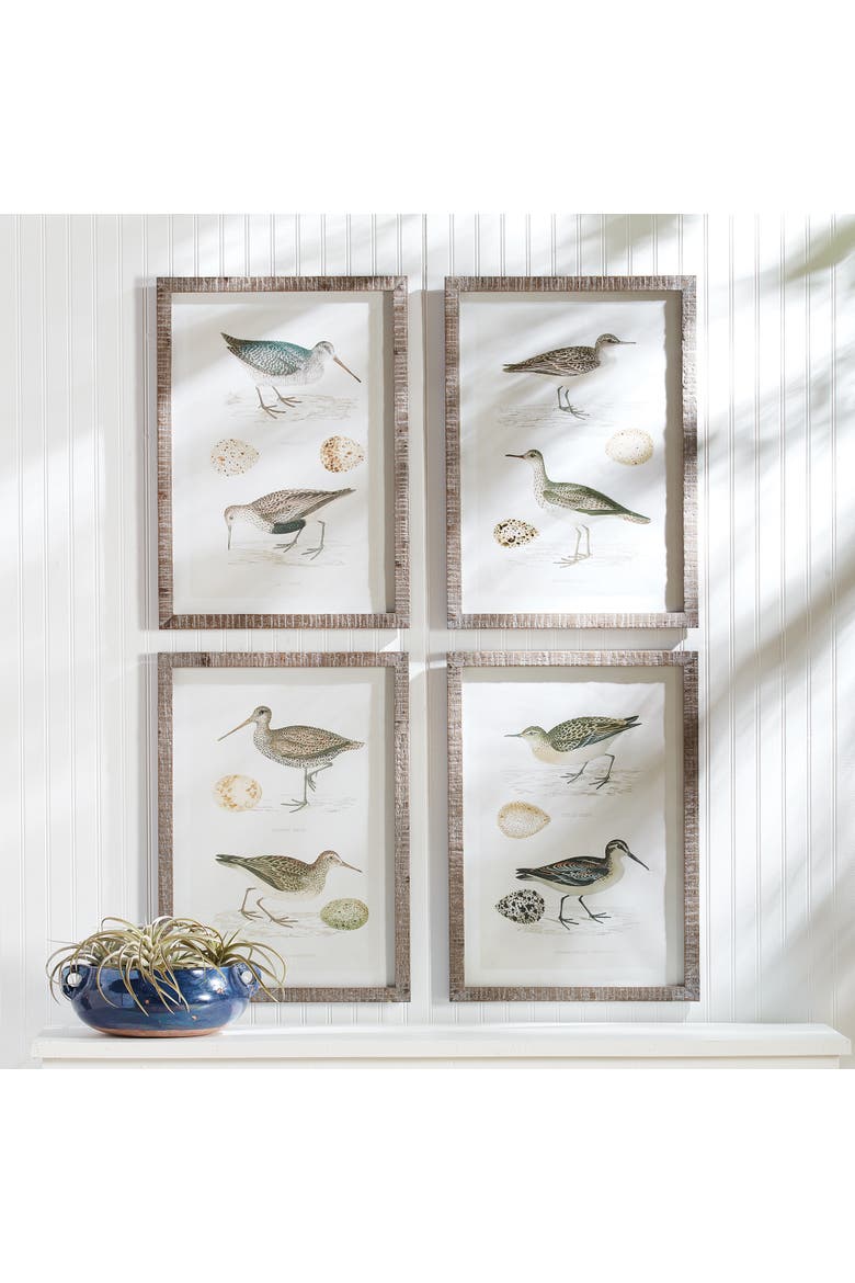 Coastal Birds Study Set of 4, Alternate, color, Green