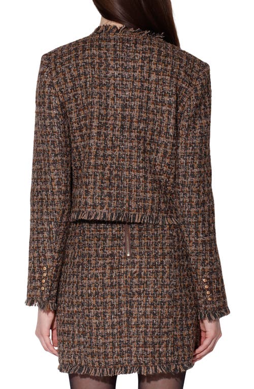 Walter Baker Tucker Tweed Jacket In Brown