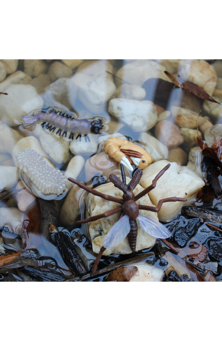 Safari Ltd. Life Cycle Of A Mosquito, Alternate, color, NO COLOR