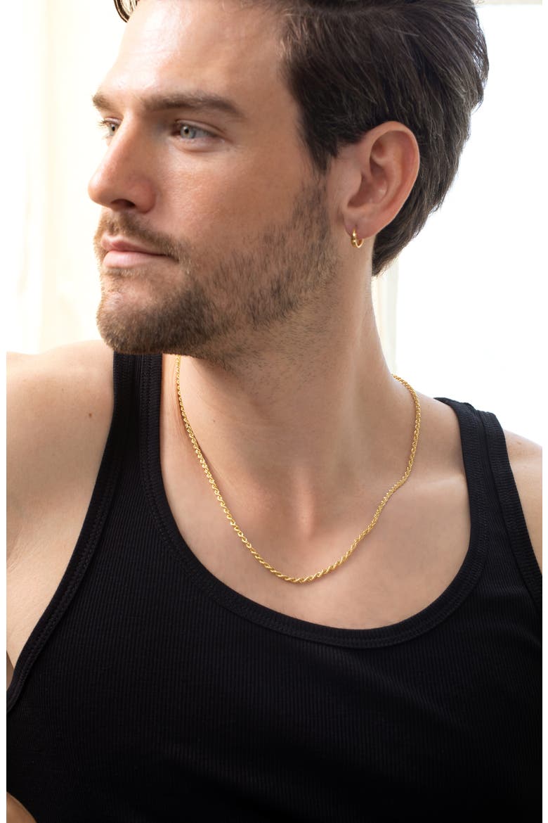 Men's 14K Gold Rope Chain Necklace (Nordstrom Exclusive), Alternate, color, 14K YELLOW GOLD