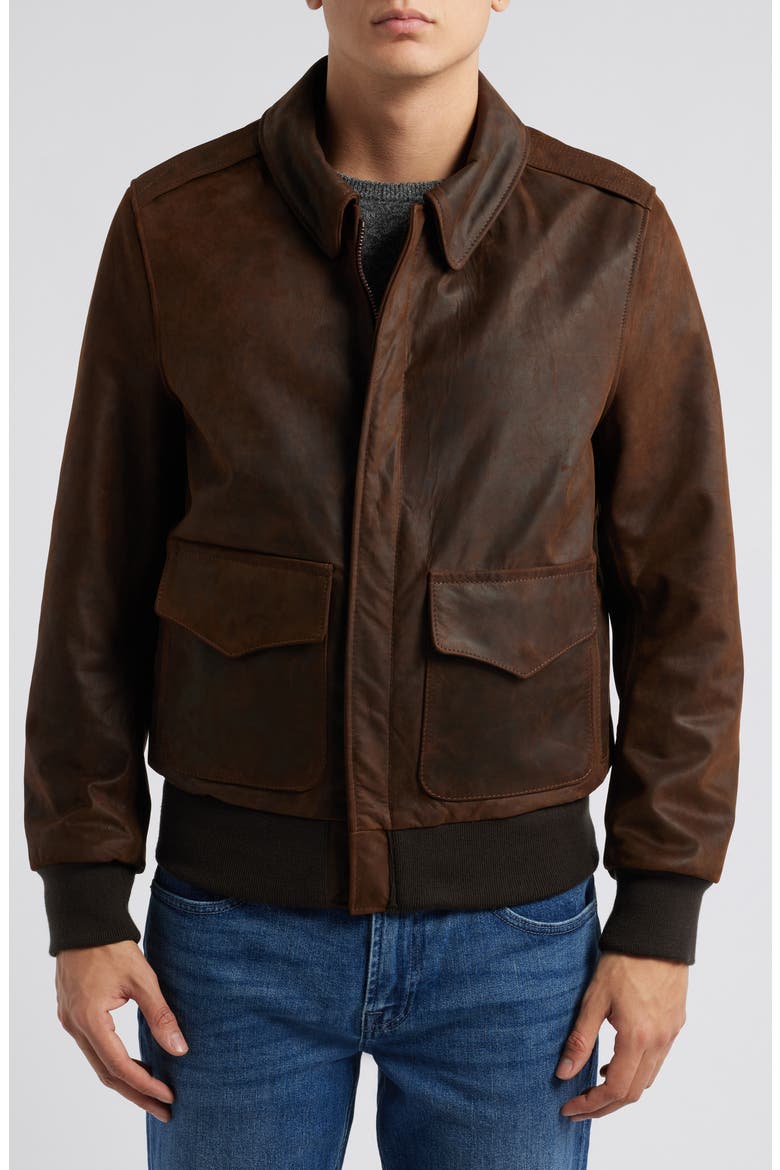 Lightweight Leather Flight Jacket, Alternate, color, BROWN