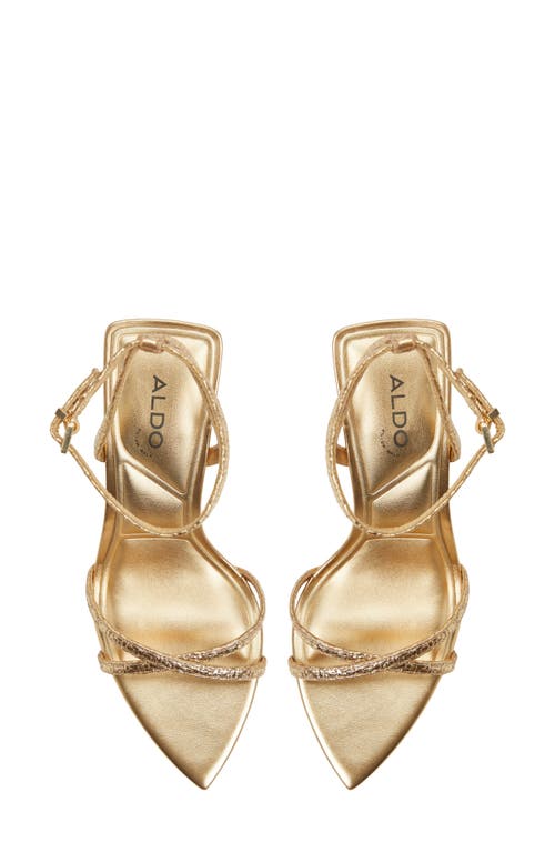 Aldo Manaelden In Gold