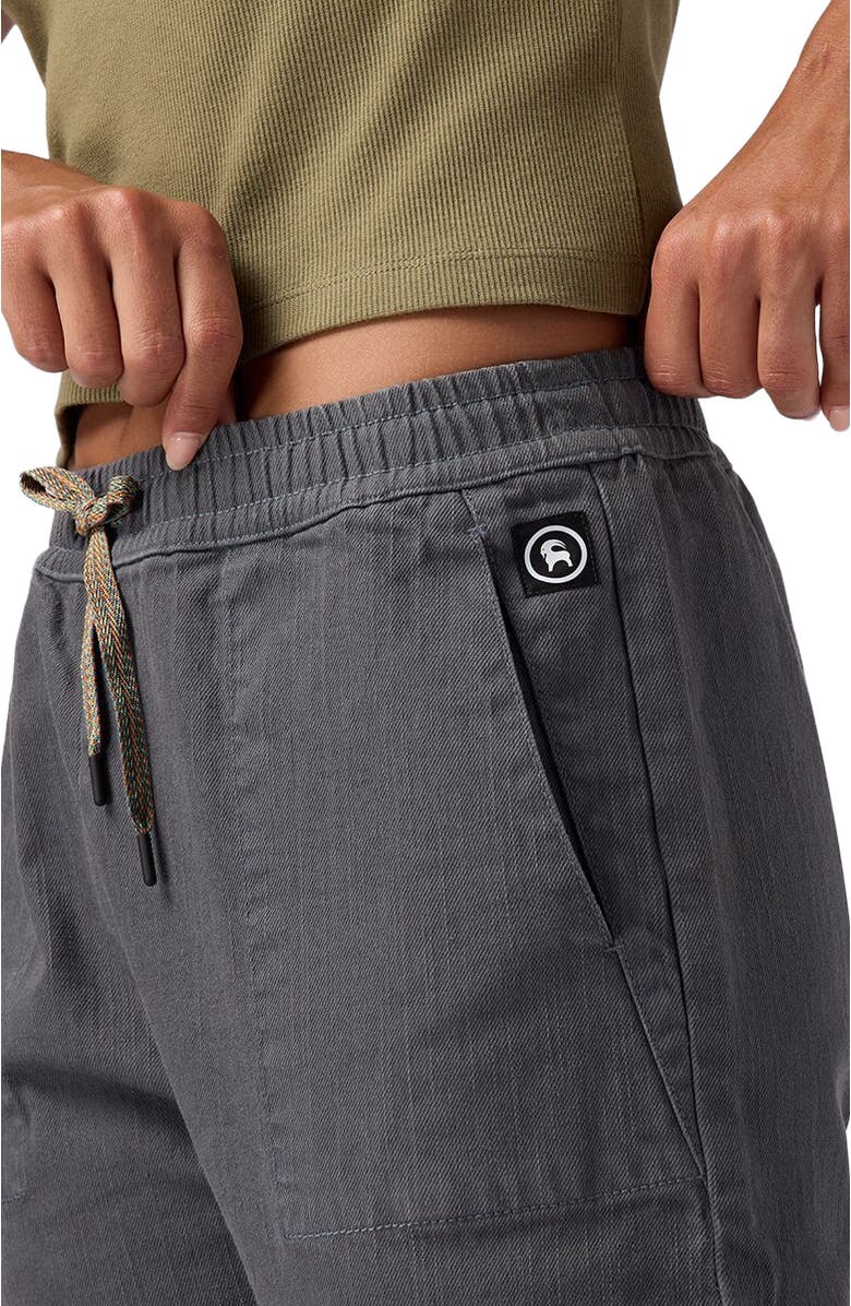 Backcountry Rambler Stretch Jogger Pant - Women's, Alternate, color,
