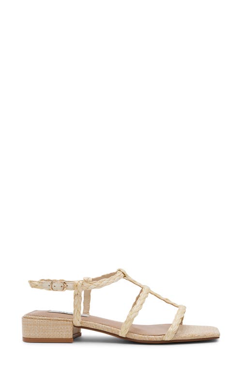 STEVEN NEW YORK STEVEN NEW YORK HAPI CAGED SANDAL 