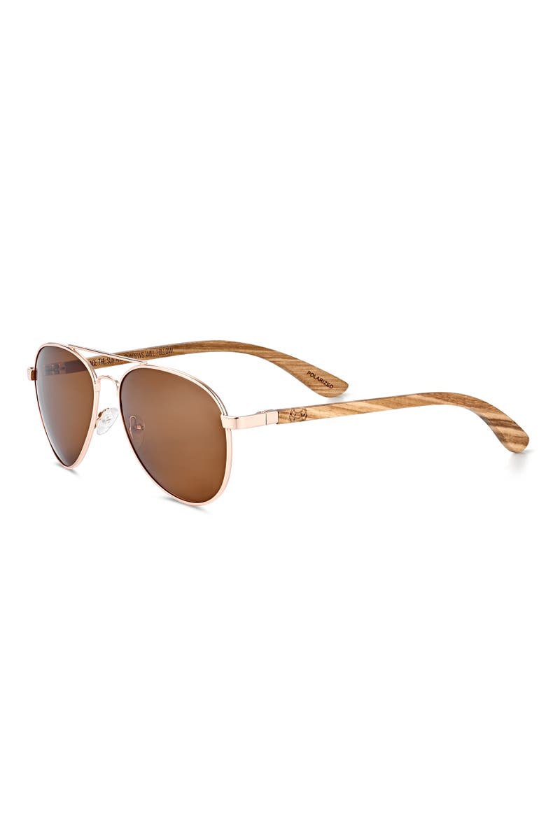 EARTH WOOD Sayulita Polarized Sunglasses, Main, color, Zebra/Brown
