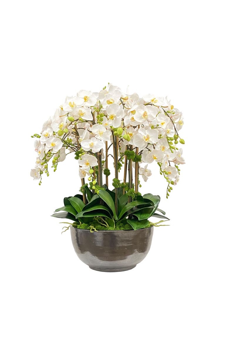 Winward Home Orchid Phalaenopsis In Bowl, Main, color,